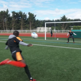 image related products